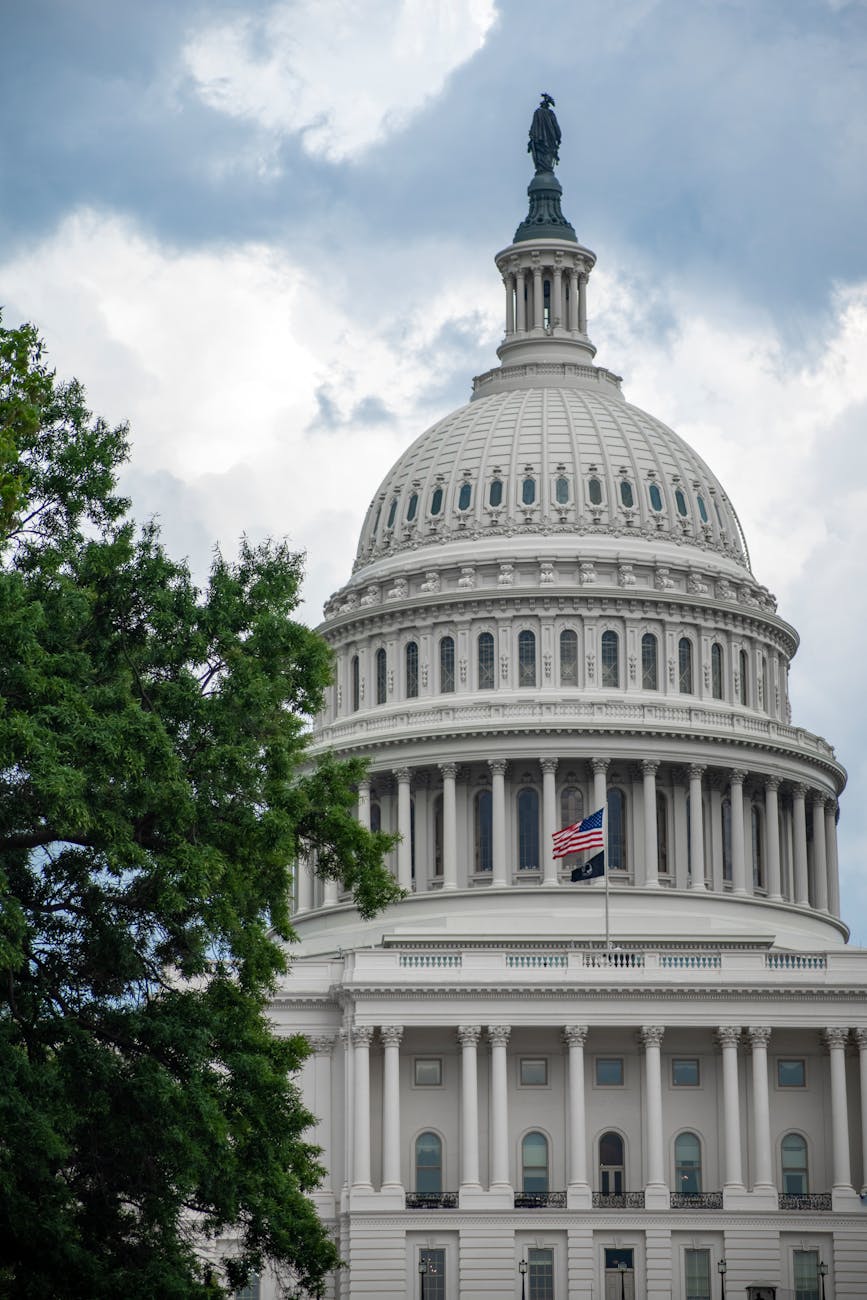 Understanding Lobbying, Advocacy, and Education for Emergency Management Professionals