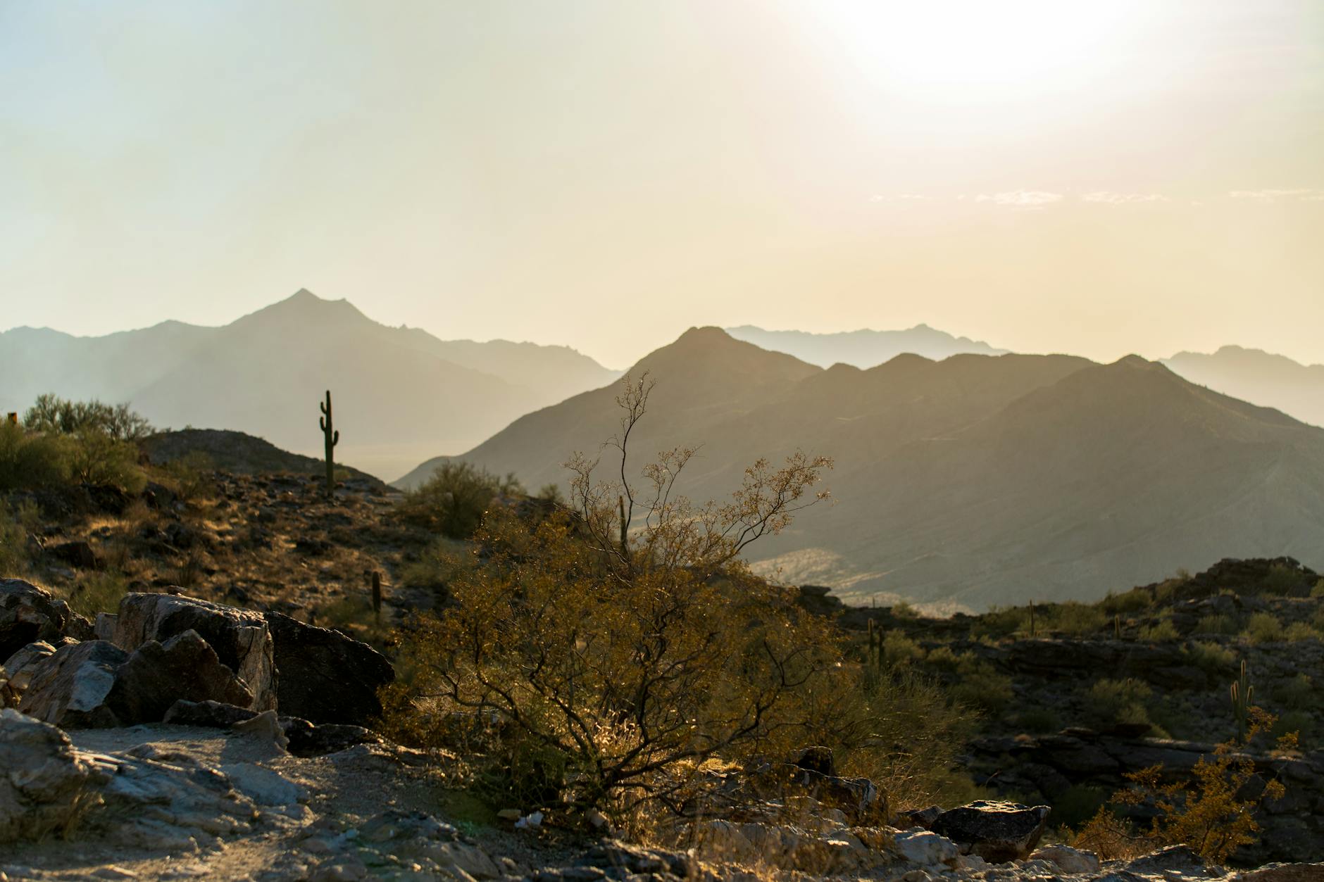 Arizona Just Experienced Their Hottest Winter On Record